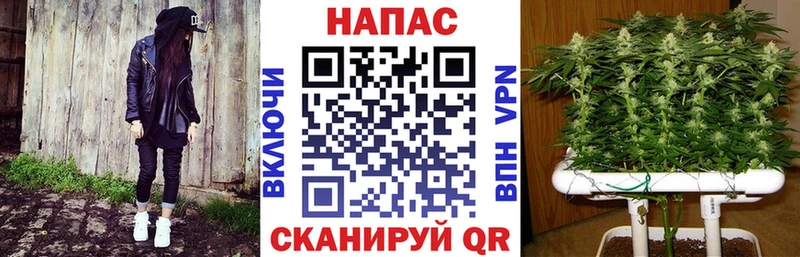 Где купить Гусь-Хрустальный Канабис АМФ ГЕРОИН ГАШ МЕФ Cocaine