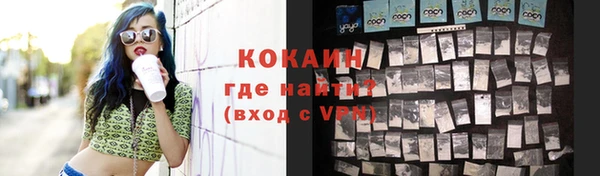 таблы Гусев