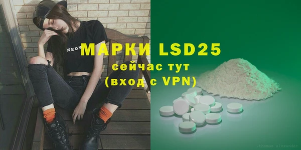 таблы Гусев