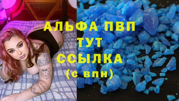 таблы Гусев