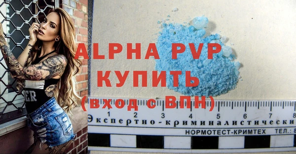 таблы Гусев