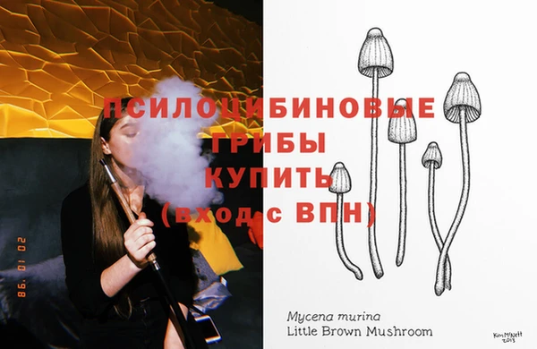 соль ск Гусь-Хрустальный
