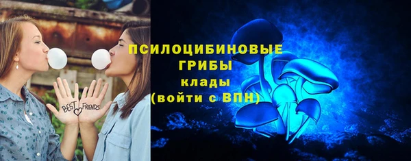 таблы Гусев