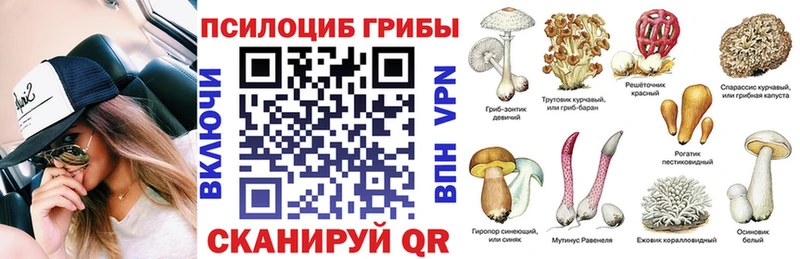 Галлюциногенные грибы Cubensis Гусь-Хрустальный